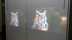 HY300 v2.0 (P30) vs HY300 Original - Which One is The Best?