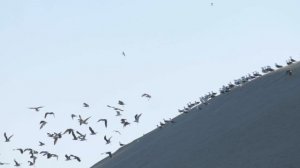 20 лет под охраной ЮНЕСКО