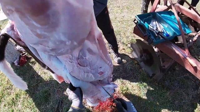 Обвалка Разделка Переработка смотреть онлайн