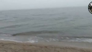 Бердянск