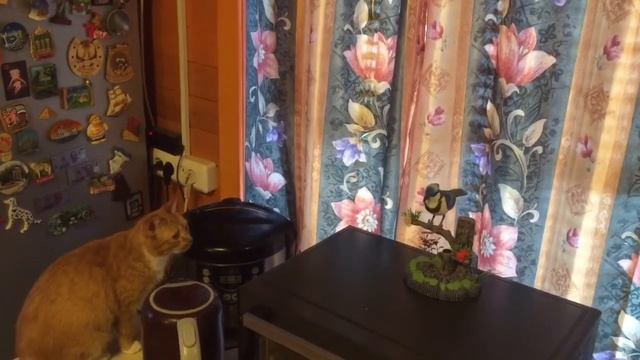 Пришёл Марток одевай сто порток😂👍👋 смотреть онлайн