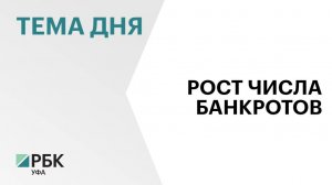 За 2024 г. в Арбитражный суд Башкортостана поступило 16,5 тысяч заявлений о банкротстве