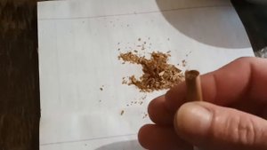 Дегустация табака собственного выращивания.