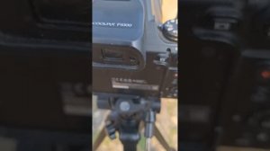 Настройка Nikon Coolpix P1000, часть первая