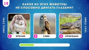 ВИКТОРИНА О ЖИВОТНЫХ /  EMOJI COOL 😎