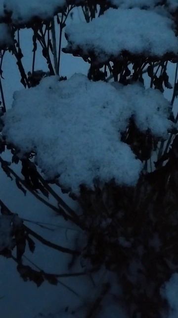 #живаяприрода #природа #зима смотреть онлайн