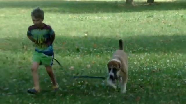 Буша 5 мес 3 недели смотреть онлайн