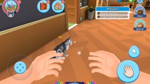 Игра котик