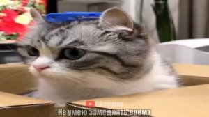 Здесь нет лазеров из глаз