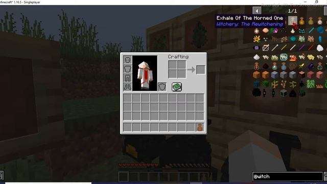 Witchery Rewitched mod 1.16.5 Combiertete en brujo parte 1