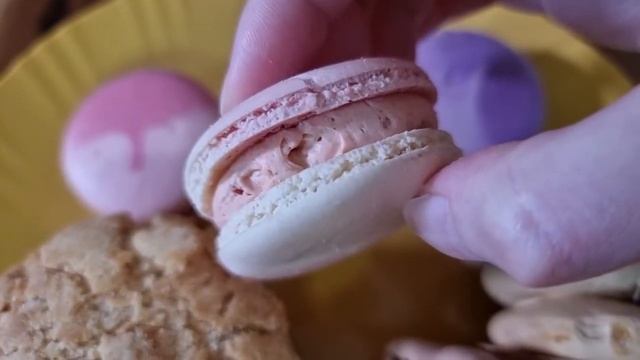 (SUB)내돈내산 리뷰43 - 편의점에 루시카토마카롱? 꽃카라멜 쿠키슈와 뚱카롱 смотреть онлайн