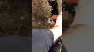 Kawasaki zx9r  3  Проводка  Разбор1