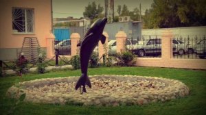 Гио Пика-Чёрный Дельфин