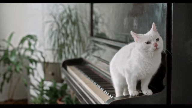 Бурито - Мама (acoustic version) смотреть онлайн