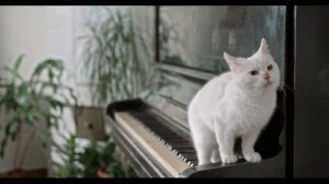 Бурито - Мама (acoustic version)