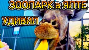 Ялта ЗООПАРК СКАЗКА. Такое мы не ожидали увидеть в Крыму. Показываю как есть