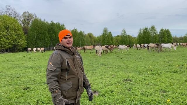 Приглашаем всех на соревнование/ Проверили жеребцов/ Удивили новые колеса на квадроцикле Атлет