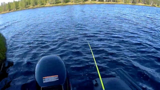 Окунь на спиннинг и незваные гости. 07.2019 смотреть онлайн