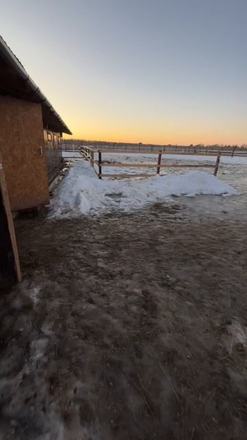 Конюшня