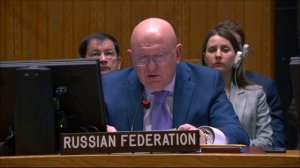 Statement by Permanent Representative Vassily Nebenzia at a UNSC Briefing on the DRC