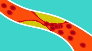 ШИИТАКЕ этот ГРИБ лечит сотни болезней тысячи лет!