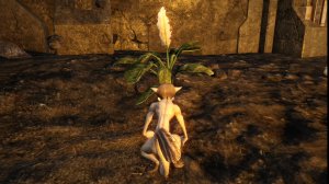 Risen 3: Titan Lords. ВЕНЕЦ ГЕРОЯ. Прохождение от SAFa