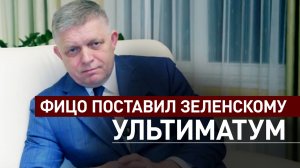 «Он не понимает слов»: Фицо пригрозил Зеленскому блокировкой помощи от ЕС