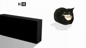ЗАСТАВКА ТЕЛЕКАНАЛА 2×2 С КОТОМ МАКСВЕЛЛ.