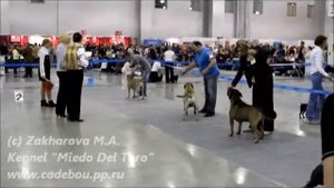 Russia 2011. Ca de bou/ка де бо. ЛК / Best Male