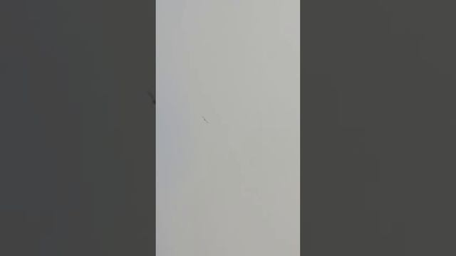 8 февраля 2024 г. смотреть онлайн