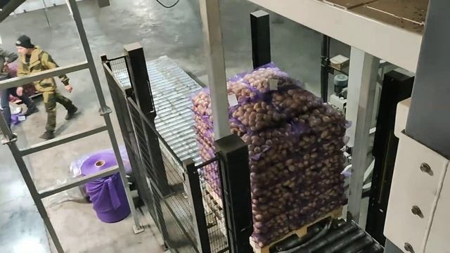 Автоматическая упаковка и укладка на поддоны смотреть онлайн