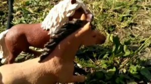 Сериал шляйх | " Дикий домашний табун ". Серия 2