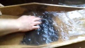 доводка золота на лотке