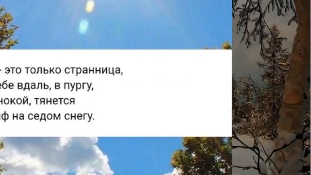 Стихотворение Тибула Камчатского (Павла Преснякова) Исполенение и оформление: Мария Агапова