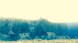 Застава,Х/Ф