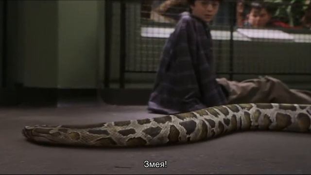 Учить Английский по фильмам Гарри Потер и философский камень 3 смотреть онлайн