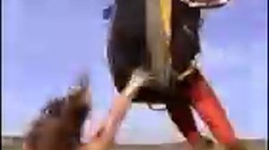 Мечта летать