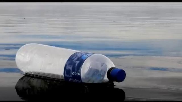 A Whole New Green World смотреть онлайн