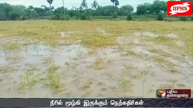 தமிழகத்தின் பல்வேறு மாவட்டங்களில் மழை