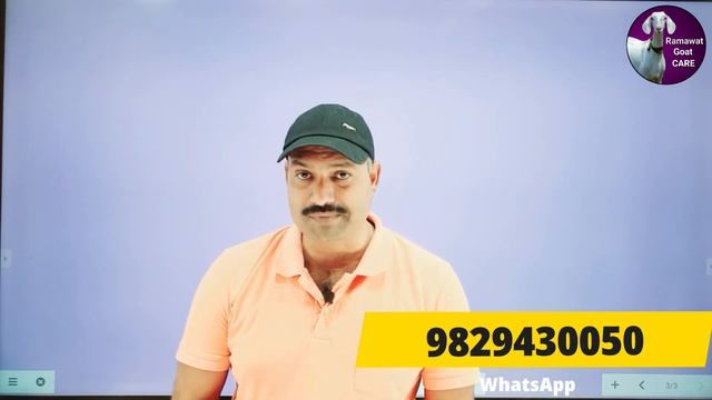 बकरी का बच्चा गर्दन ऊपर करके चिल्ला रहा है смотреть онлайн