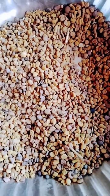 methi dana 7 din tak Dena chahiesubscribe kar lena смотреть онлайн