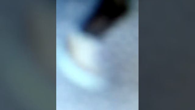 Кароль танцев ( шкура,,) смотреть онлайн