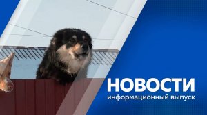 Новости 28.01.25