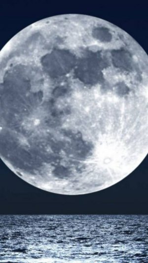 Все хотели бы дотронуться до Луны?