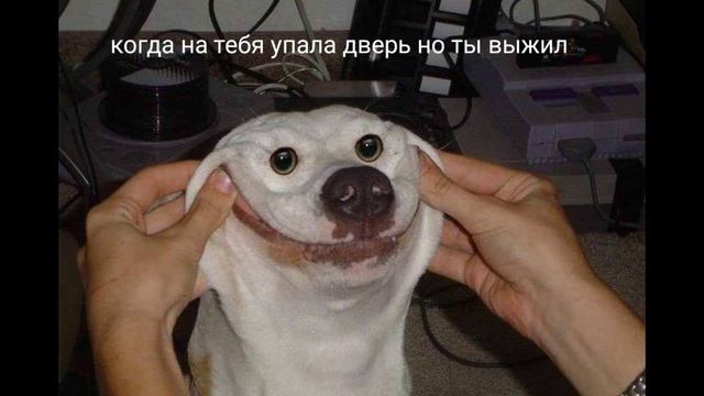 мемарик