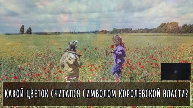 Накопленный багаж знаний можно применить  в этом видео смотреть онлайн