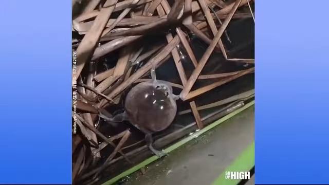 ЗАЛИПАТЕЛЬНОЕ ВИДЕО БЕЗ МУЗЫКИ, ЧТОБЫ ВЫ РАССЛАБИЛИСЬ, УСПОКОИЛИСЬ И ЗАСНУЛИ смотреть онлайн