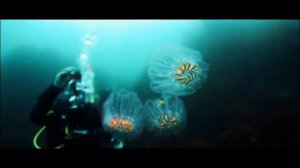 80 серия ЧЕРНО-БЕЛАЯ ЛЮБОВЬ: где смотреть онлайн, описание на русском языке