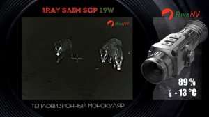 Сравнение прицелов RikaNV Lesnik 319 и  Iray saim scp19w