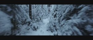 6 months FPV   Cinematic FPV showreel